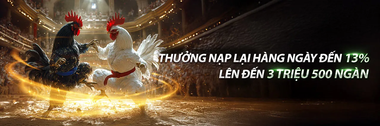 Đá gà trực tuyến 6ff