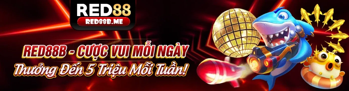 Đối tác 6ff hợp tác chuyên nghiệp